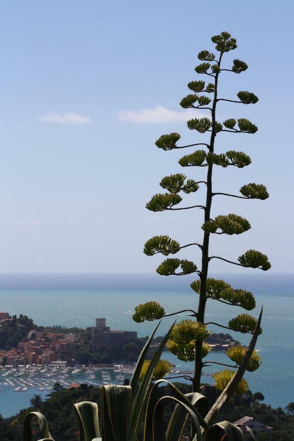 Agave Di Lerici Villa Exterior foto